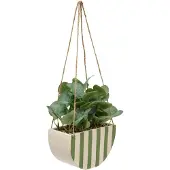 Atmosphera Kunstplant Hangplant Chéri met keramieken pot - 21x10x27cm - Groen