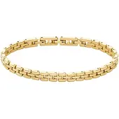 Fossil Armband 'Arden' goud