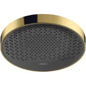Hansgrohe rainfinity powderrain hoofddouche 250 1jet, polished gold optic