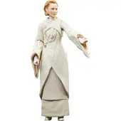 Hasbro Star Wars Actiefiguur Senator Mon Mothma 15 cm Andor Black Series Multicolours