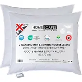 Homescapes Hoofdkussens 60x70 cm – Set van 2 – Medium Zacht – Ganzenveren & Dons – Anti-Allergisch – Voor Zijslaper & Nekklachten – OEKO‑TEX, RDS Gecertificeerd