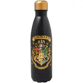 Harry Potter Thermosfles Hogwart 500ml - Ideale Schoolfles
