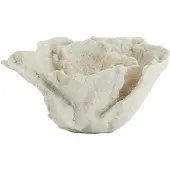 Light & Living ornament coral 23x16x13cm -