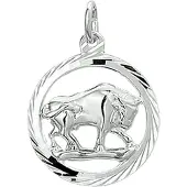 GLAMS hanger sterrenbeeld stier gediamanteerd - Zilver