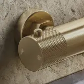 Saniclear Brass Curved omstelknop voor opbouw thermostaatkranen (SK38378, SK24881 en SK24882)