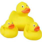 Simm Duck family
