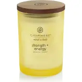 Seifen-Shop Chesapeake Bay Candle – Kracht en energie – Medium 250 g