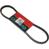 DAYCO Power CVT Transmissie Riem