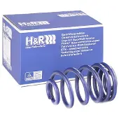 H&R 29485HA1 Verlagingsveren