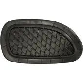 BLIC 6502-07-3583914P Ventilatiegrille, bumper