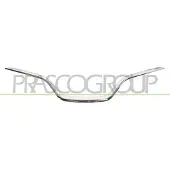 BLIC Sierlijst/beschermstrip, radiatorrooster 6502-07-6009991P