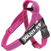 JULIUS K-9 IDC Riemtuig Roze - maat 3