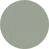 3M Trizcat P1000 Sanding Disc 15 Units Zilver 75 mm
