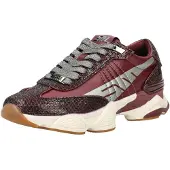 Steve madden Sneakers laag kersrood / zilver