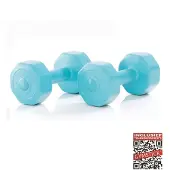 Gymstick Active Vinyl S 2 X 5kg Dumbbell Blauw 5 kg