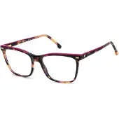 Carrera 3060 54/17/140 Gouden plompe havana Acetaat monturen VROUW 3060