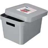 Curver Infinity - Opbergbox met deksel - 17L / Grijs