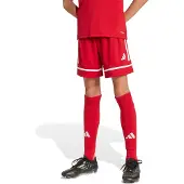 Adidas Sportbroek 'Squadra 25' karmijnrood / wit