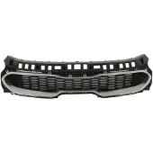 BLIC 6502-07-2173990P Radiator grill