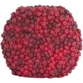Light & Living - Vaas BERRIES - 32x18x27.5cm - Rood