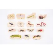 TickiT Houten Minibeast-blokken