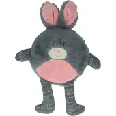 Bunny Puppy Flat Rabbit