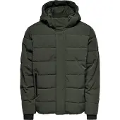 Only & Sons Winterjas 'ONSCayson' donkergroen