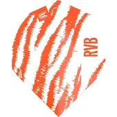 Target RVB Pro Ultra White NO2 - Dart Flights