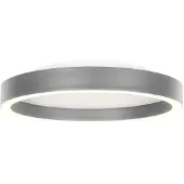 Steinhauer LED-plafondlamp Ringlux, dimbaar, alu / grijs / zink, Woon-/ Eetkamer, metaal, Modern, LED plafondlamp