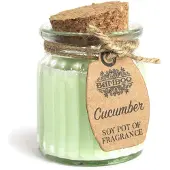 AW Gifts Glazen Potje met Soja Geurkaars Komkommer - 6 stuks