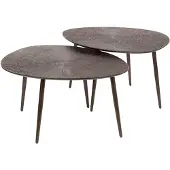 AnLi Style Salontafel set/2 Brown Ray Metal leaf