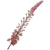 Silk-ka - Kunstbloem - eremurus - roze - H107 cm