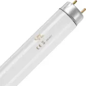 Schiefer G13 T8 TL-Buis | 36W 3000K 3100lm 830 | 1213mm