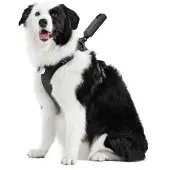 Insta360 Pet Harness Mount Size L