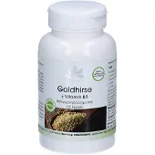 WARNKE Vitalstoffe | Goudgierst + vitamine B5 250 St