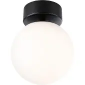Paulmann Plafondlamp Gove, zwart, Woon-/ Eetkamer, Glas, Modern, Plafondlamp badkamer