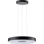 Paulmann Pane II 79517 LED-hanglamp LED LED 22 W Zwart, Grijs