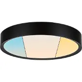 Paulmann 71086 Tega LED-plafondlamp LED LED vast ingebouwd 22.5 W Zwart (mat)