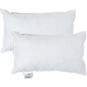 Homescapes kussenvullingen set van 2 – 50×30 cm – eendenveren binnenkussens – OEKO-TEX katoen – RDS-gecertificeerd – wasbaar