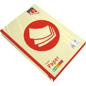 Quantore Kopieerpapier colour a4 160gr kanariegeel