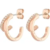 Ted Baker Oorbellen 'HELIAS' rose-goud / transparant