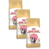 Royal Canin Persian Kitten - Kitten-Kattenvoer - 3 x 2 kg