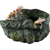 Zoo med Reptielen Grot