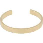 Lacoste Armband 'Adventurer' goud