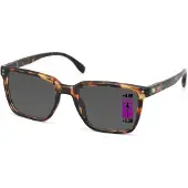 Vista Bonita Zonneleesbril Cubo XL Progressief-Hub Havanna-+3.50