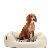 Lionto hondenmand met zacht, omkeerbaar kussen, gezellig hondenbed in gemêleerd design met lage instap voor honden en katten van alle maten, 80x60 cm, zacht hondenbed, beige