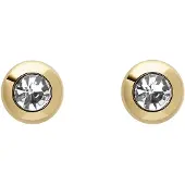 Fossil Oorbellen, Sieraden Stud Oorbellen, (Metaal, Metaal/metaal)