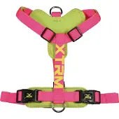 Nayeco X-trm Cronos Neon Flash Hondenharnas