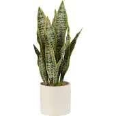 J-Line Plant sansevieria in pot pvc green large