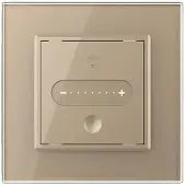 Livolo | Goud | SR | 1 | Slide-Dimmer - Bekijk hier!
